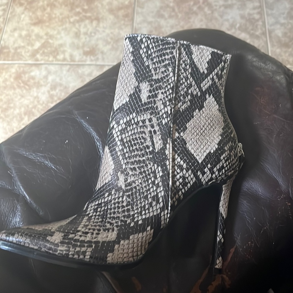 Steve Madden snake skin pointed boots